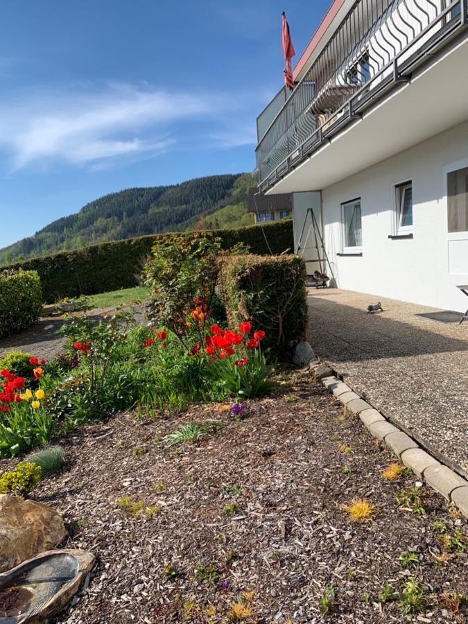 Fewo Moselblick Traben-Trarbach Ngoại thất bức ảnh
